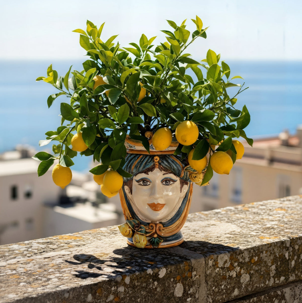 Female Testa di Moro with lemons, blue and orange, planted with a lemon tree, on a terrace by the sea